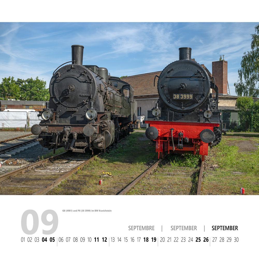 09 BW V04 SML